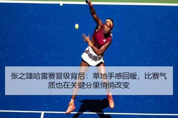 张之臻哈雷赛晋级背后：草地手感回暖，比赛气质也在关键分里悄悄改变